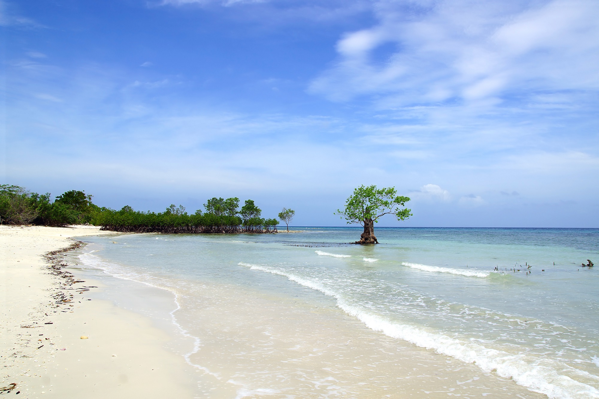 Plage et mangrove sur Siquijor island