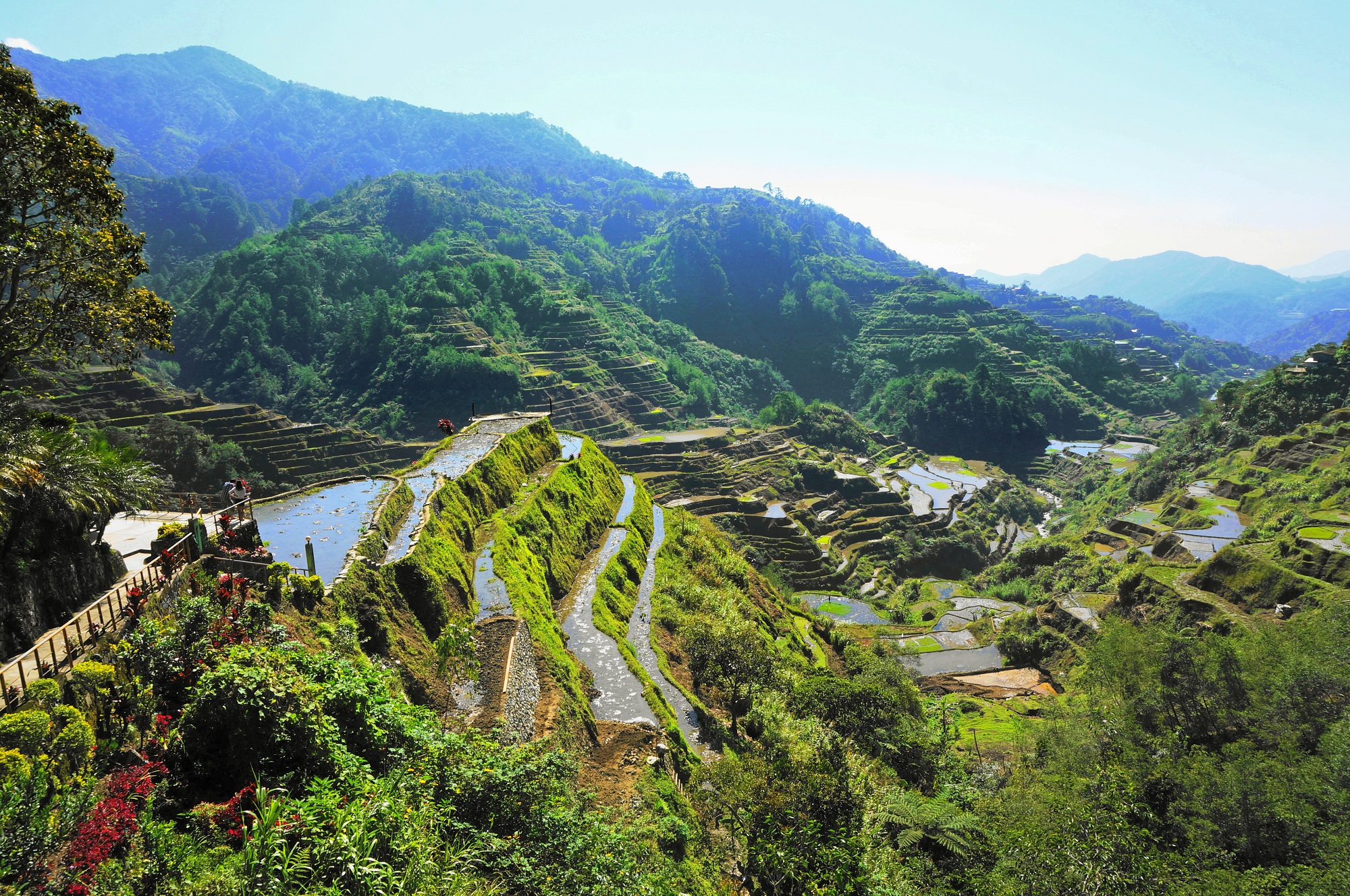 Rizières du nord de Luzon