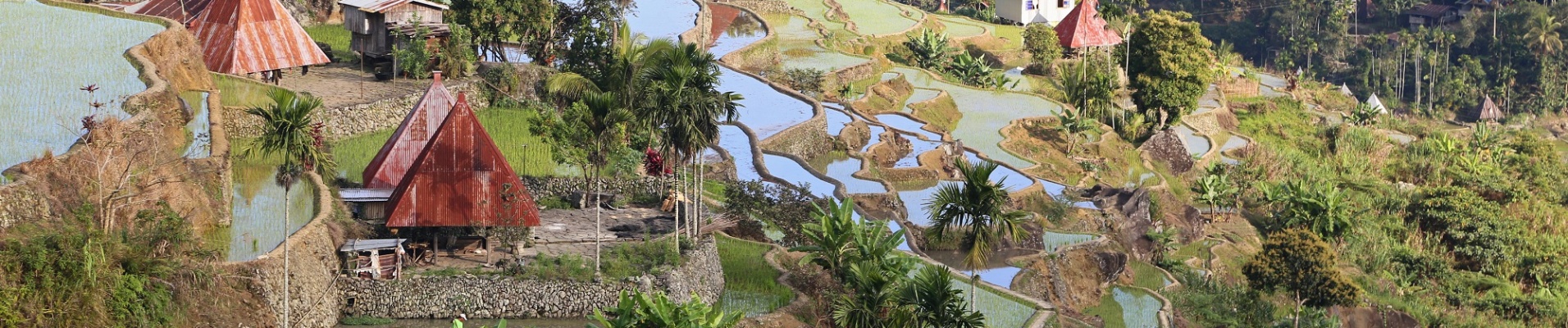 Maisons et rizières à Banaue