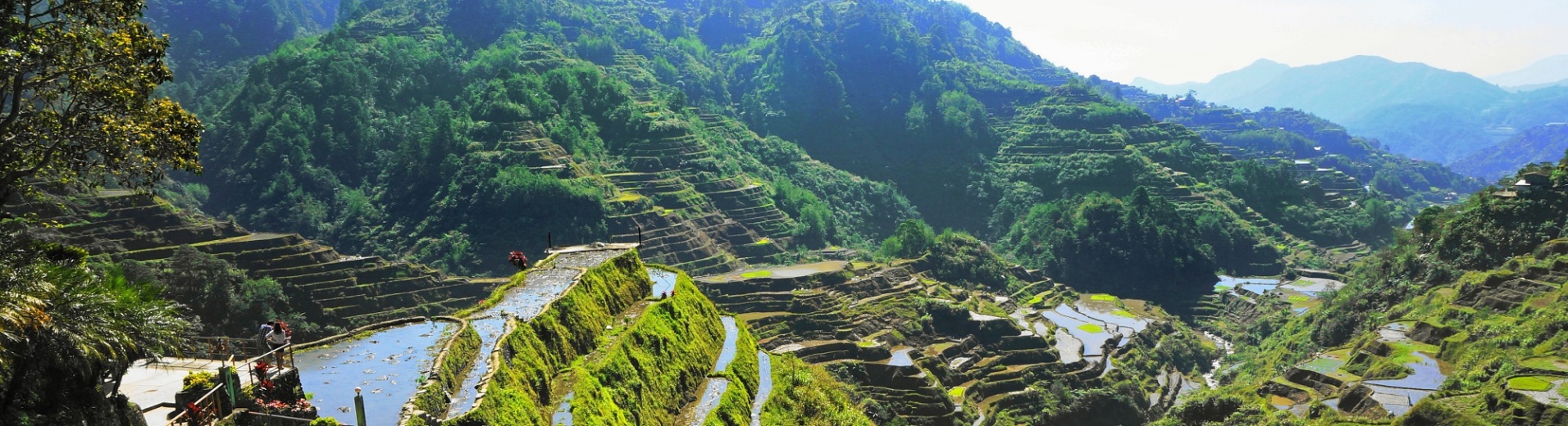 Rizières en terrasse de Banaue