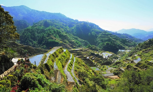 Rizières en terrasse de Banaue