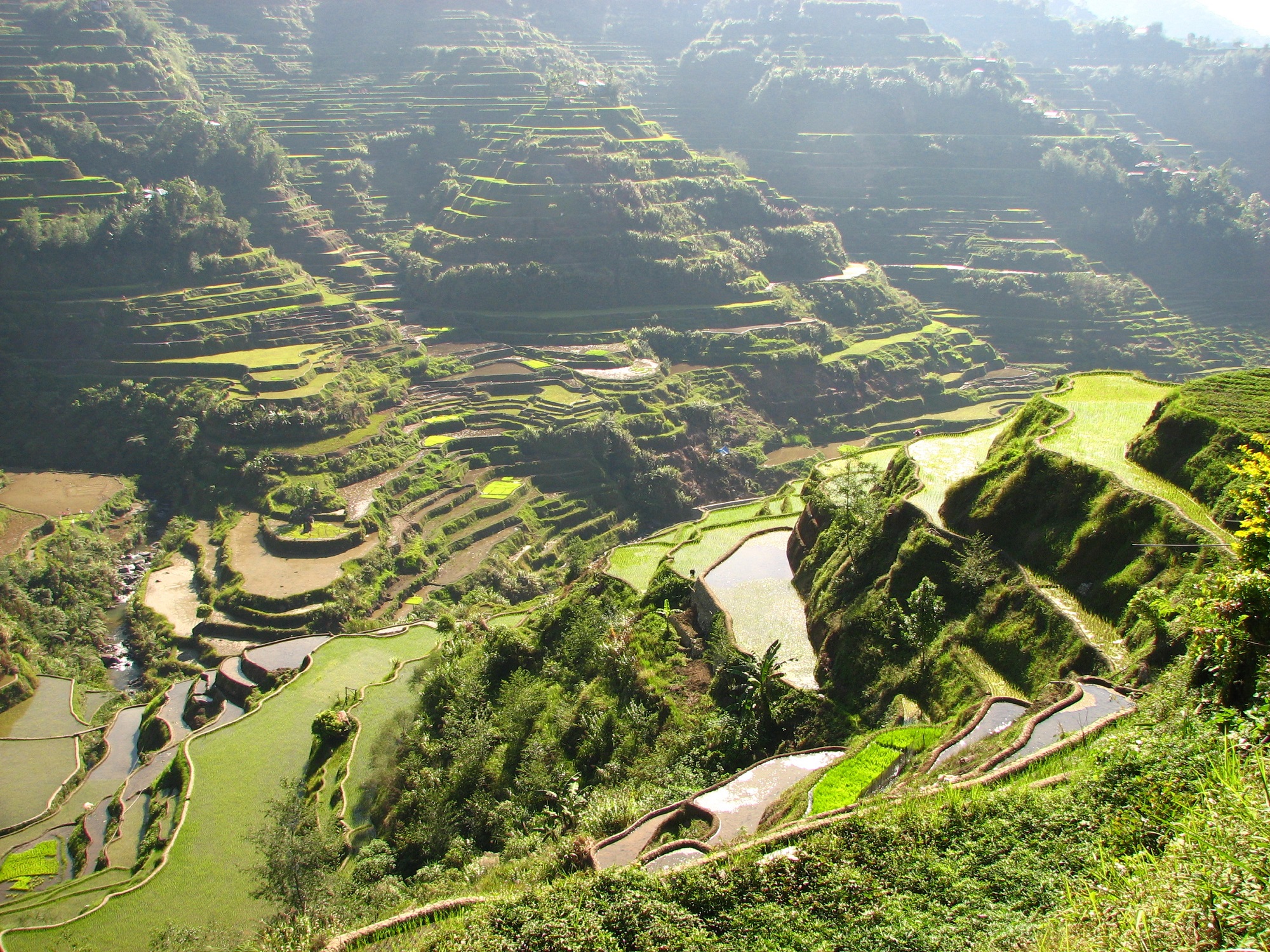 Rizières de Banaue