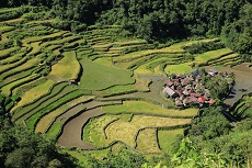 Village de Bangaan dans les rizières