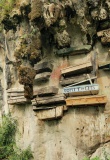 Cercueils suspendus de Sagada