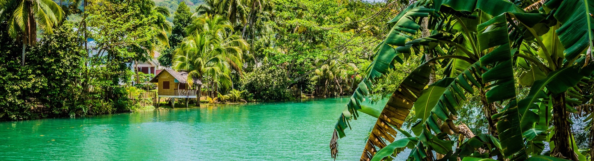 jungle tropicale et rivière avec bungalow