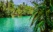 jungle tropicale et rivière avec bungalow