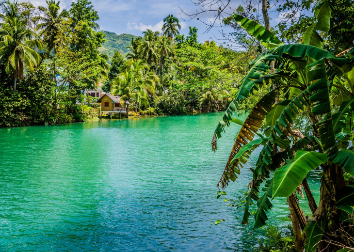 jungle tropicale et rivière avec bungalow