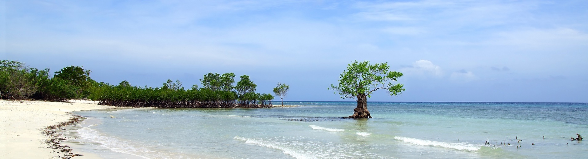 Plage et mangrove sur Siquijor island