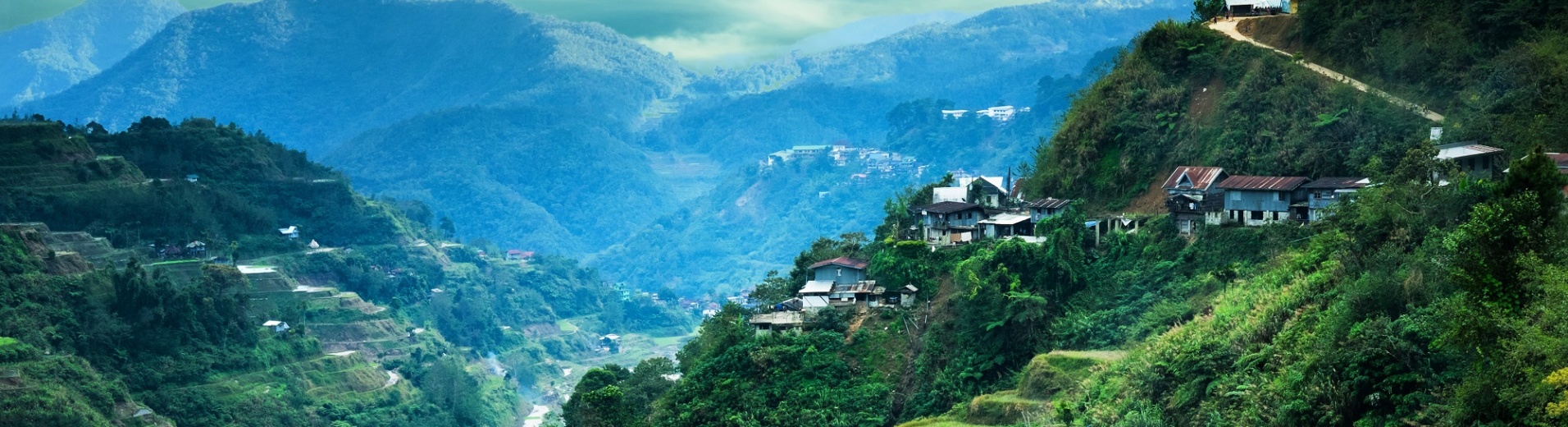 Vue sur les rizières en terrasses