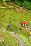 Village de banaue au cœur des rizières