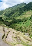 Rizières Cambulo