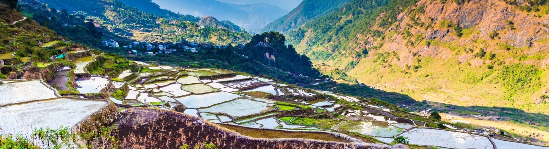 rizières Sagada