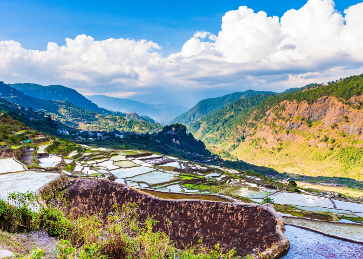 rizières Sagada