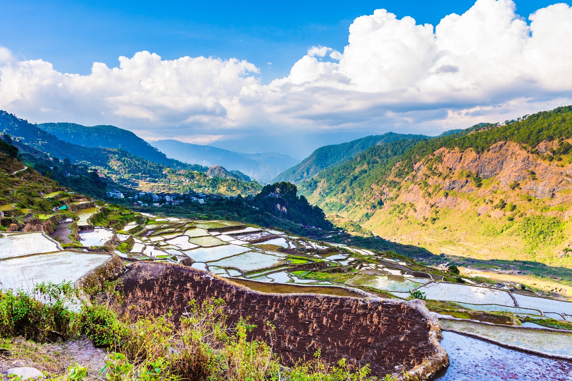 rizières Sagada