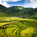 trekking-riziere-philippines