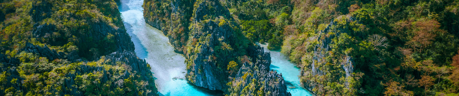 Palawan Philippine